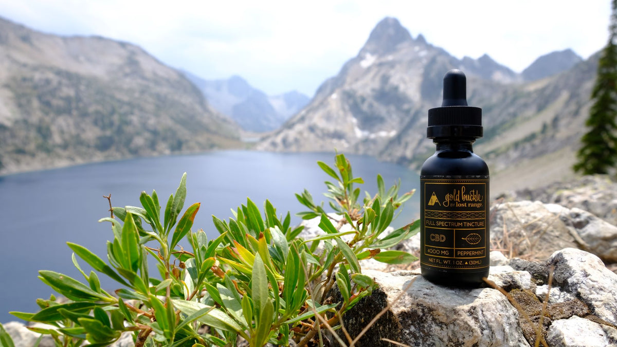 What's the Highest Potency CBD on the Market? lost range.®