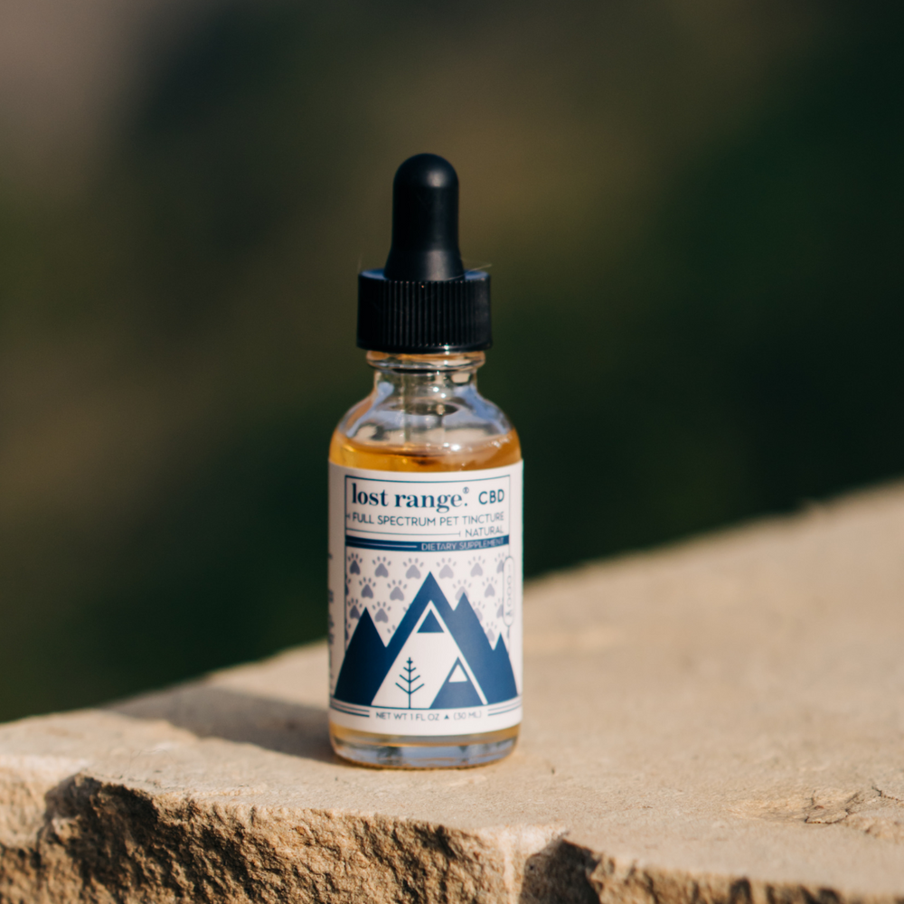 The Benefits of CBD for Pets: Celebrating National Dog Day