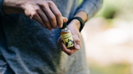 CBD vs. Traditional Stress Solutions: What American Consumers Told Us