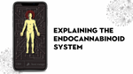 The Endocannabinoid System (ECS) Explained