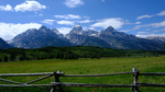 Celebrating Colorado Day: Why Colorado is the Best Place to Farm Hemp and Home to lost range.®