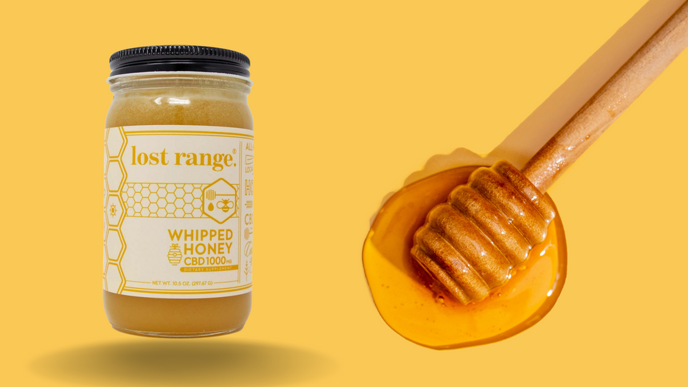 Why Everyone’s Buzzed About Our CBD Honey